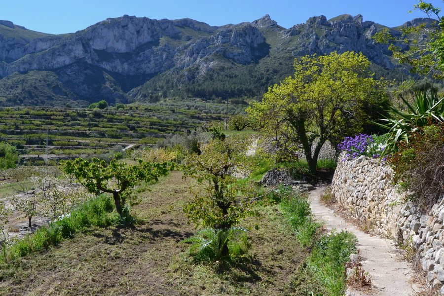 File:Camps al costat del poble de Benissili, la Vall de Gallinera.jpg