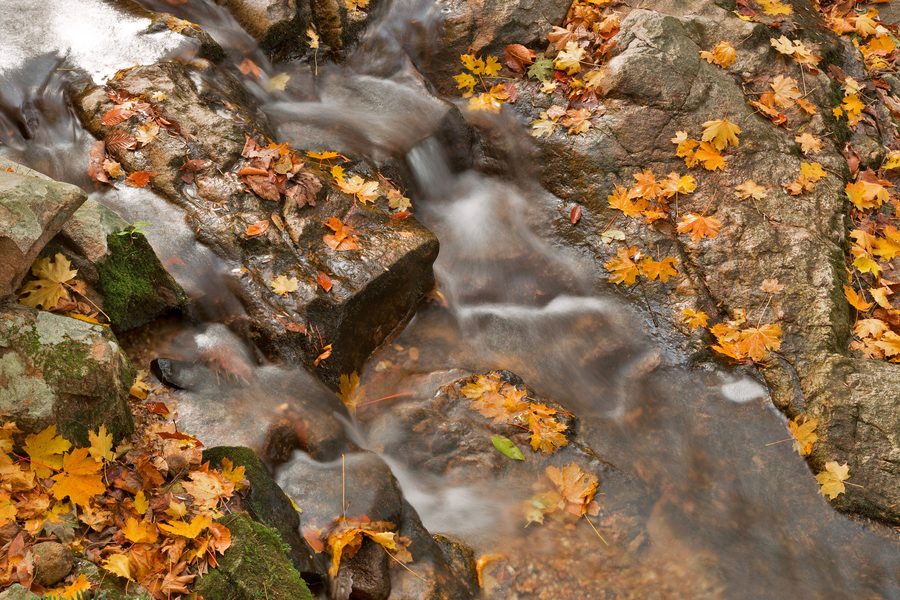 Stream in Patapsco Valley State Park near Baltimore, Maryland