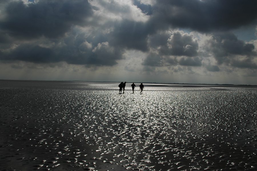 Mudflat hiking on Ameland