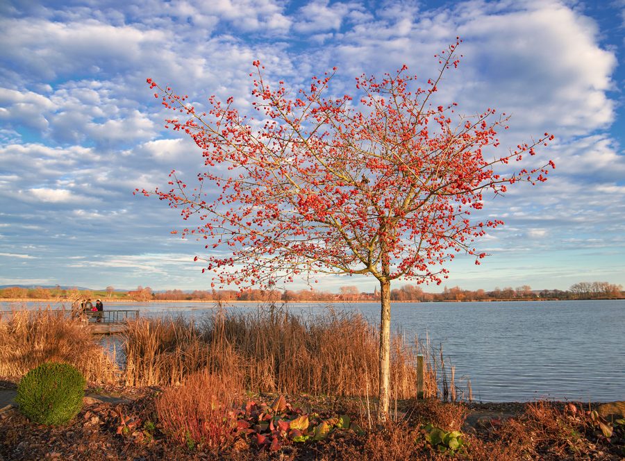 Nature reserve Seeburger See between Göttingen and Duderstadt in the Lower Eichsfeld