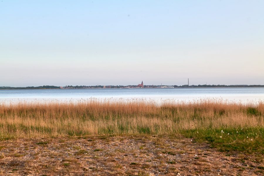 View from Zingst onto the Barther Bodden in the Vorpommersche Boddenlandschaft National Park