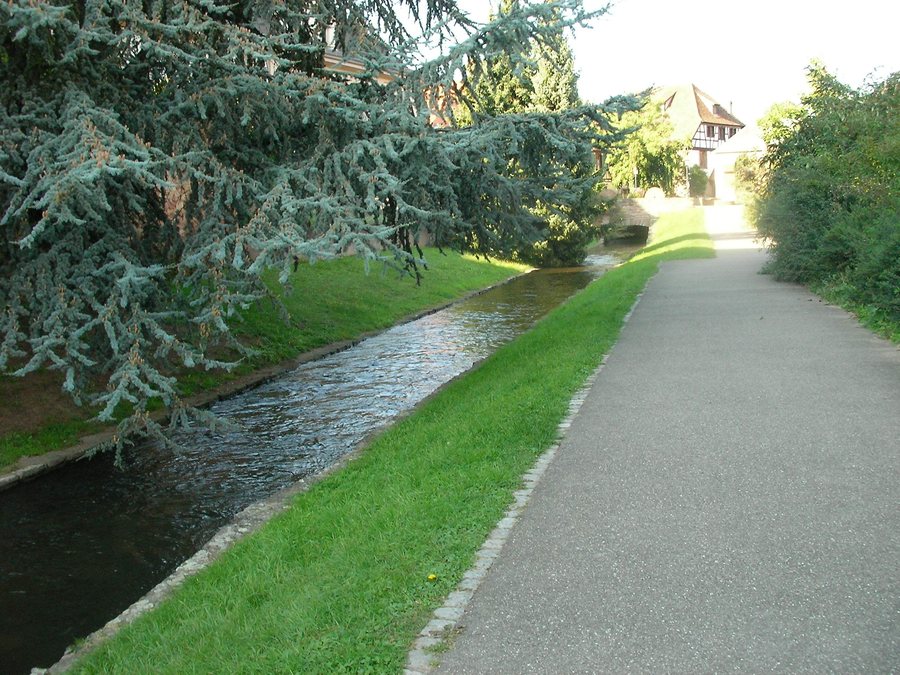 File:Rivière (Molsheim).jpg