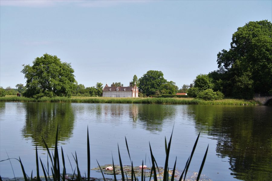 Park landscape in the Dessau-Wörlitz Garden Realm