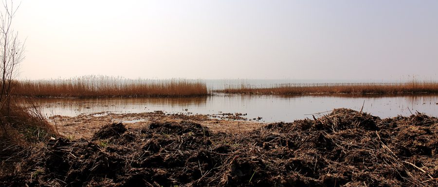 Uferlandschaft am Mirnser Klif bei Mirns am IJsselmeer