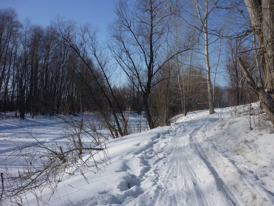 Ansicht von Omsk in der Oblast Omsk, Russland