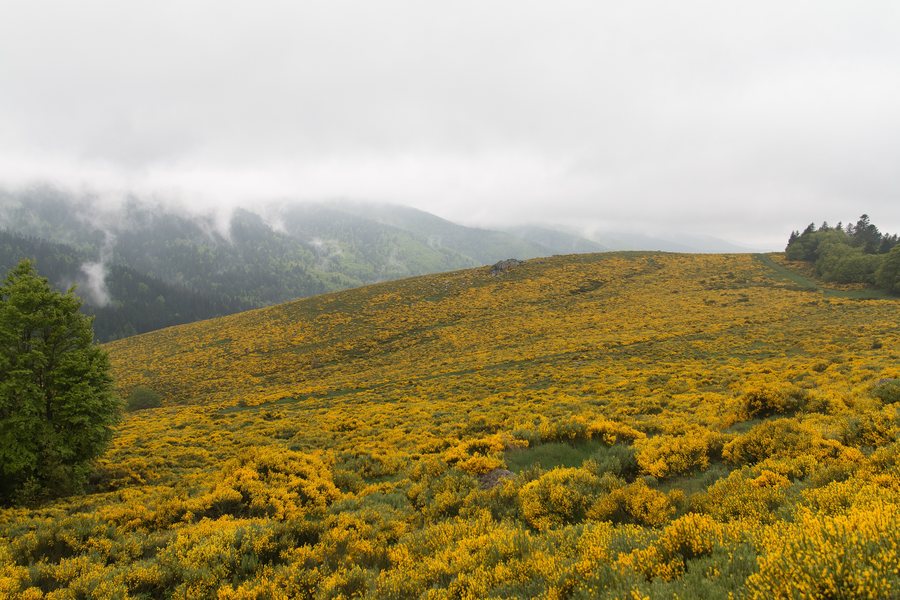 File:Valgorge-Col de Meyrand-20140522.jpg