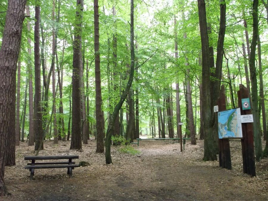 Landscape in Wolin National Park near Lake Czajcze
