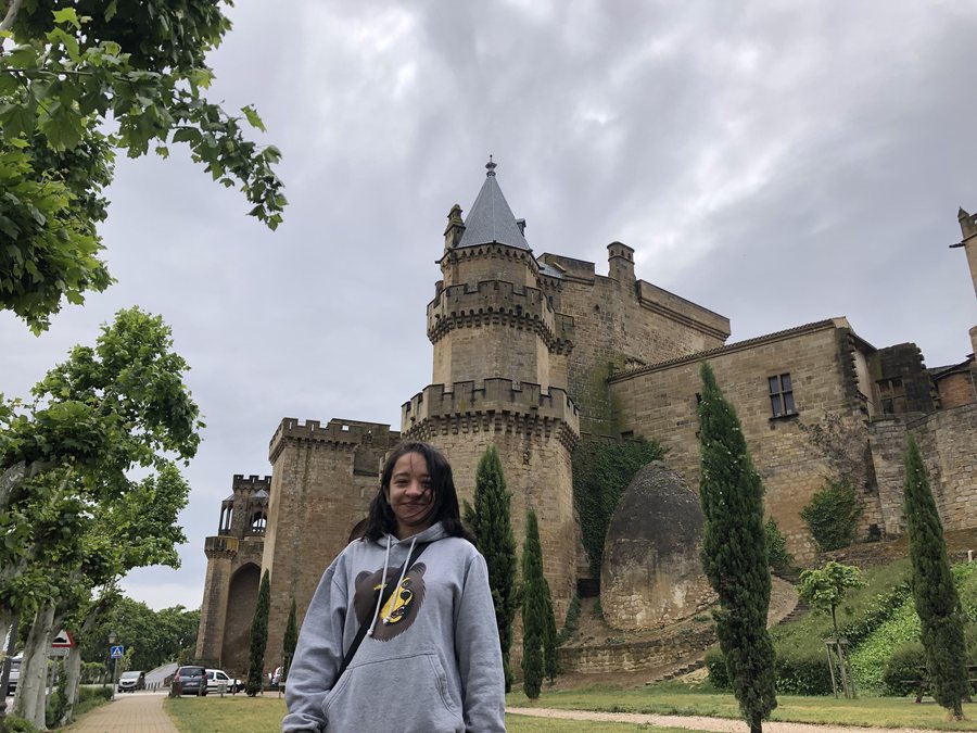 File:Olite Navarra -espanha -espana -spain -olite -navarra (46953859645).jpg