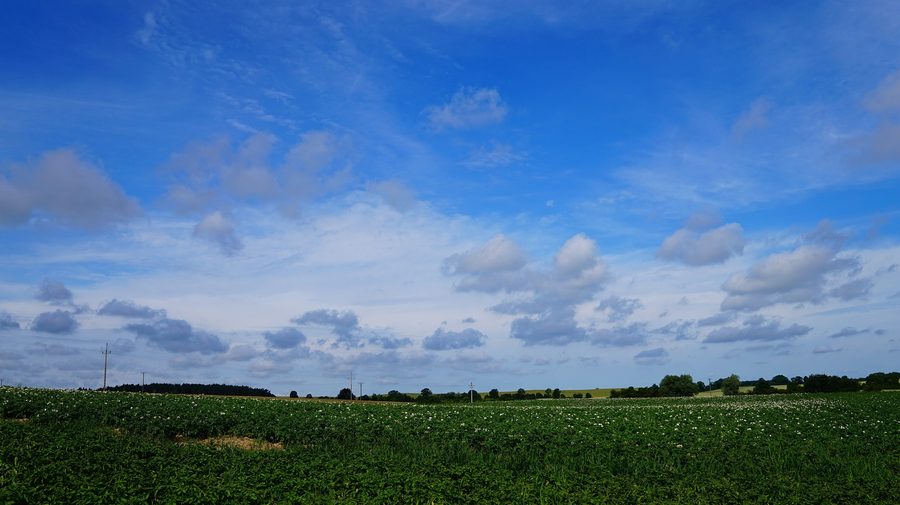 Landschaft in der Umgebung von Żukczyn im Powiat gdański