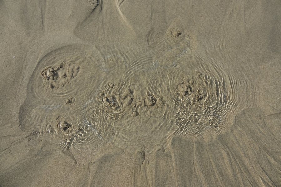 File:Bulles dans le sable (Mers-les-Bains).jpg
