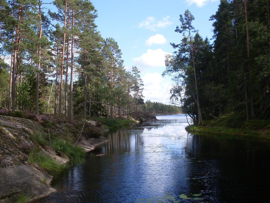 View from a bridge between Lake Stora Tresticklan and Lake Lilla Tresticklan in Tresticklan National Park