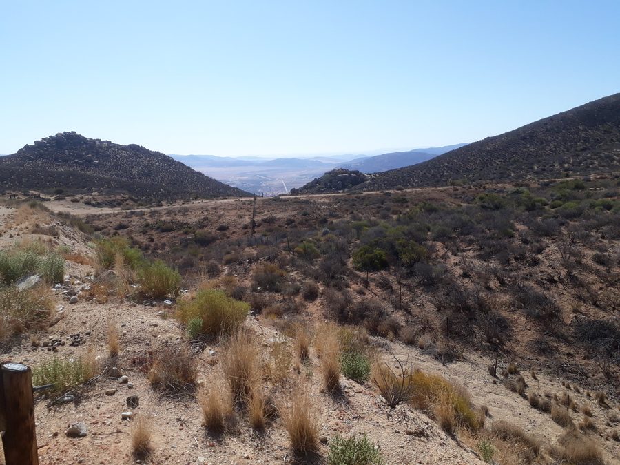 View along a westward road in South Africa.