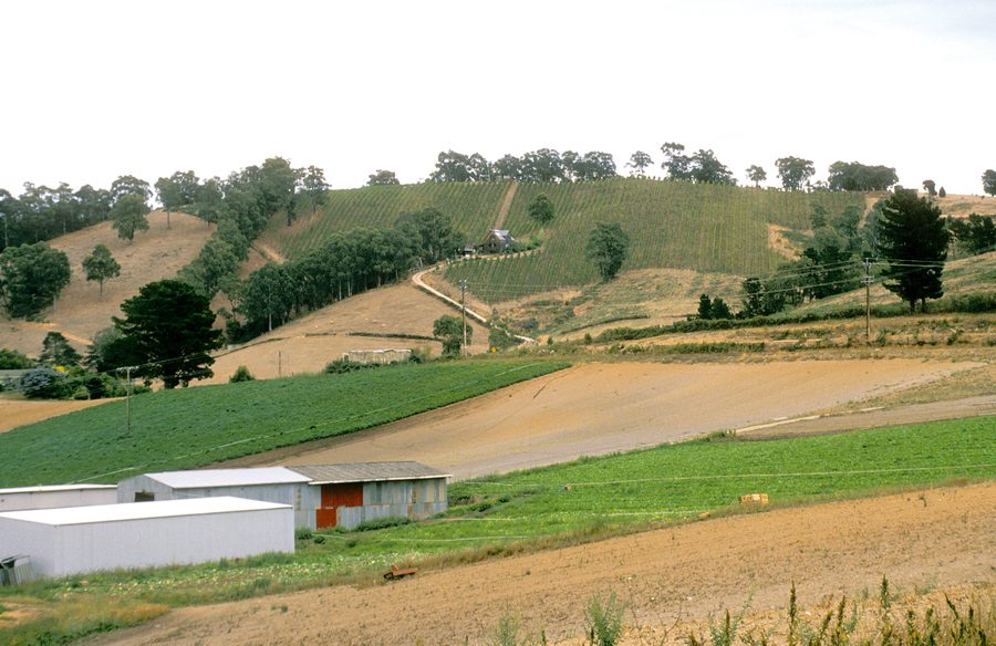 Vineyards and mixed farming in the Adelaide Hills