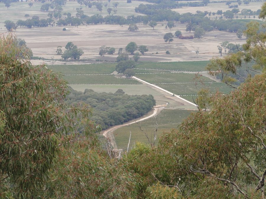 Vineyards near Avoca in Victoria with views from the Pyrenees Ranges