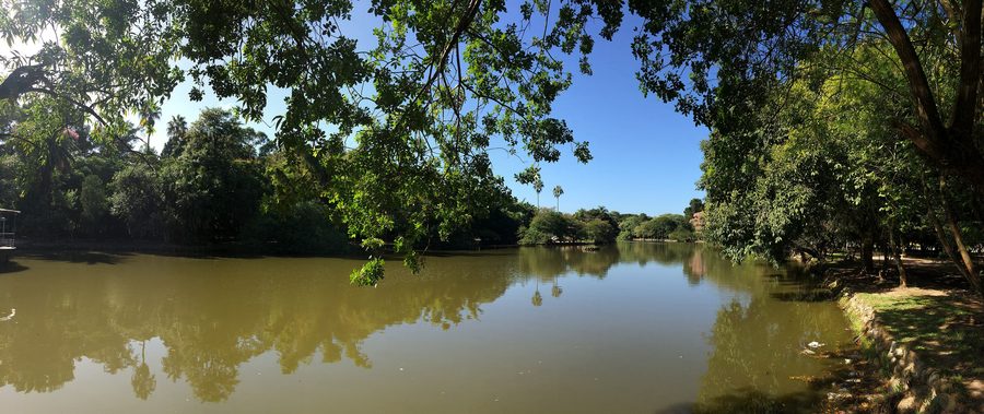 Panorama of Parque Farroupilha in Porto Alegre
