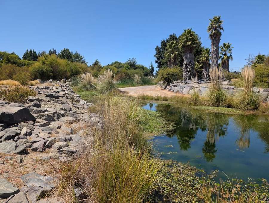 Botanical Garden of the University of Talca