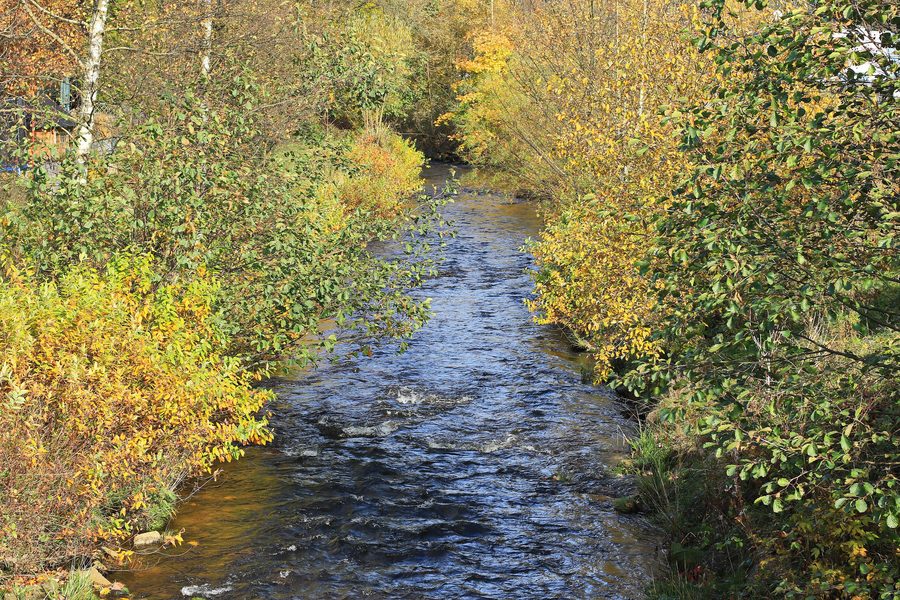 View from a bridge onto the Zwickauer Mulde in Rautenkranz in Saxony