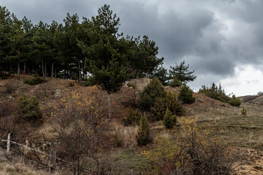 Hill landscape in a rural setting