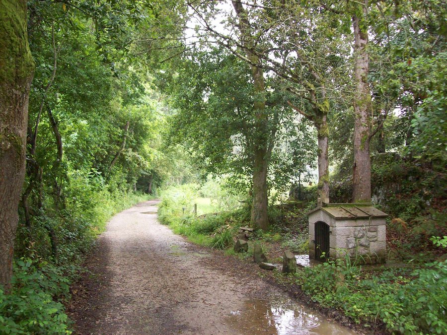 File:Camino de Santiago near Villahormes - Asturias - Spain - panoramio.jpg
