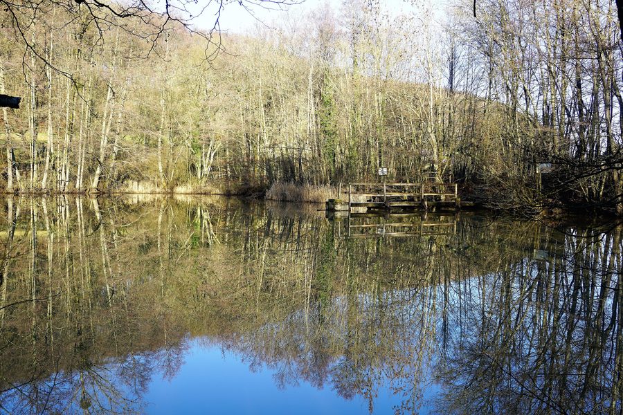 Kriibseweier im Gréngewald bei Junglinster
