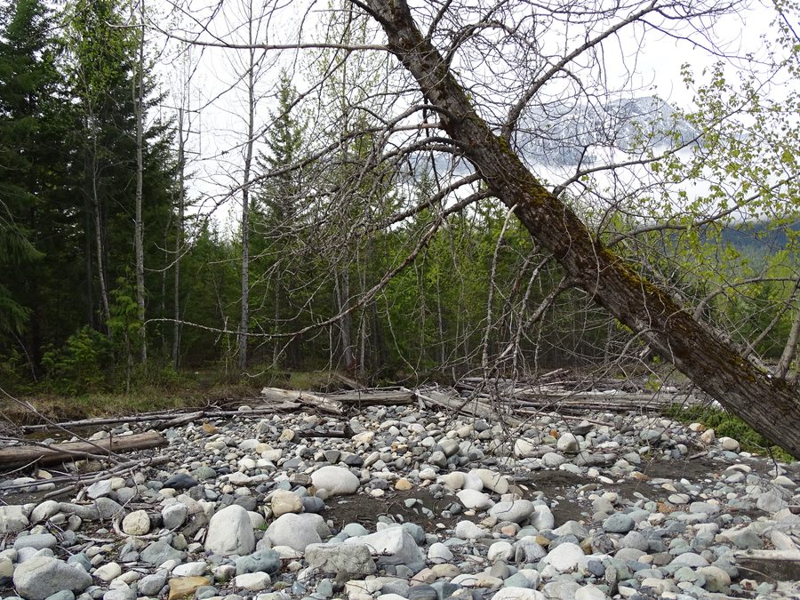 Shoreline scenery on Slocan Lake near New Denver with mountains in the background