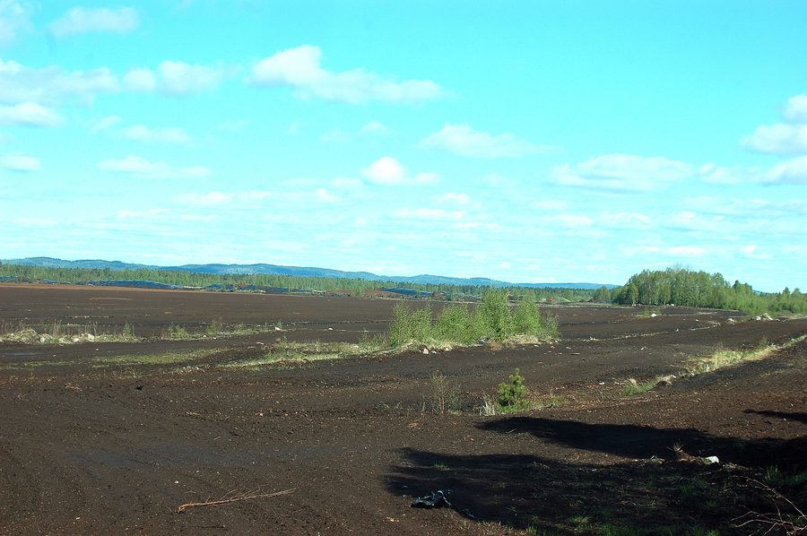 Landscape in the Skagerhultsmossen nature reserve near Västkärrs Torfstich