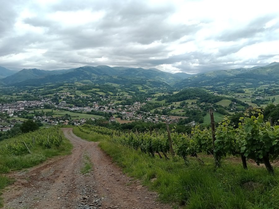 File:Uhart-Cize @ Harxuria.jpg