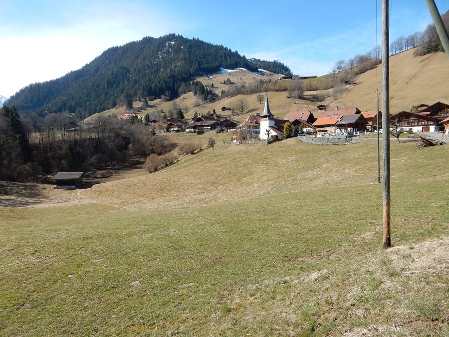 Übersicht von Diemtigen im Kanton Bern