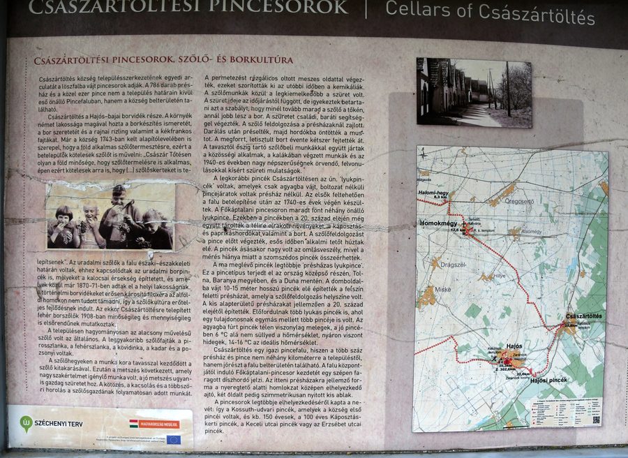Information board about the Főkáptalan Street cellar row in Császártöltés