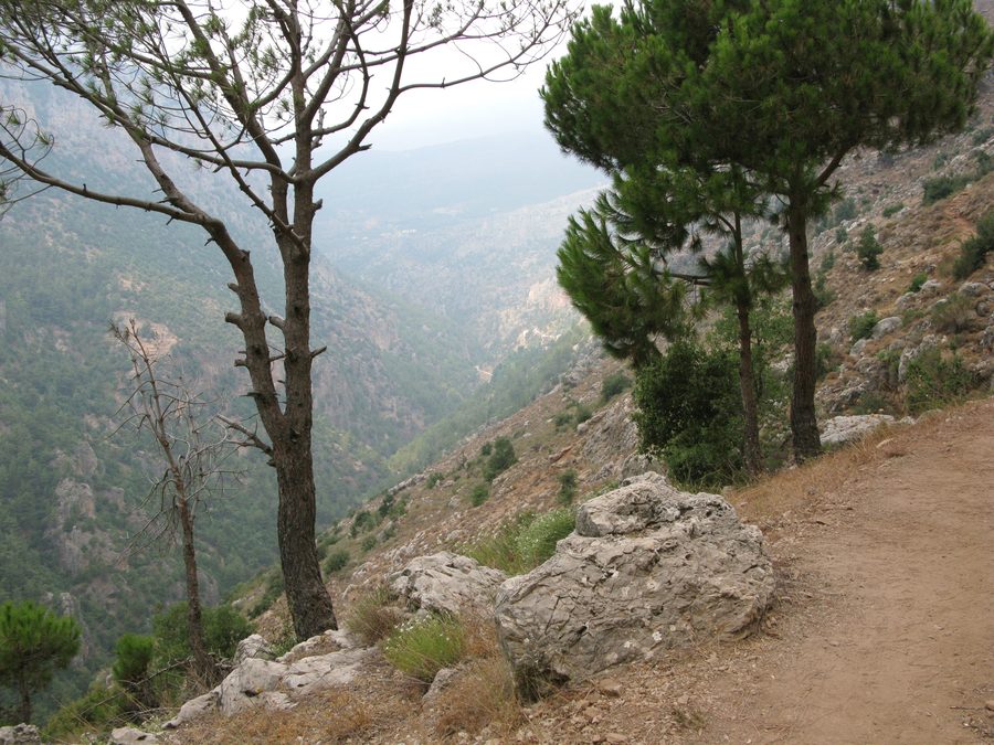 Road to the monastic landscape of Qozhaya in the Qadisha Valley
