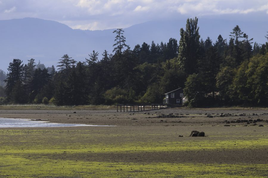 Coastal landscape of Powell River on the northern Sunshine Coast of British Columbia