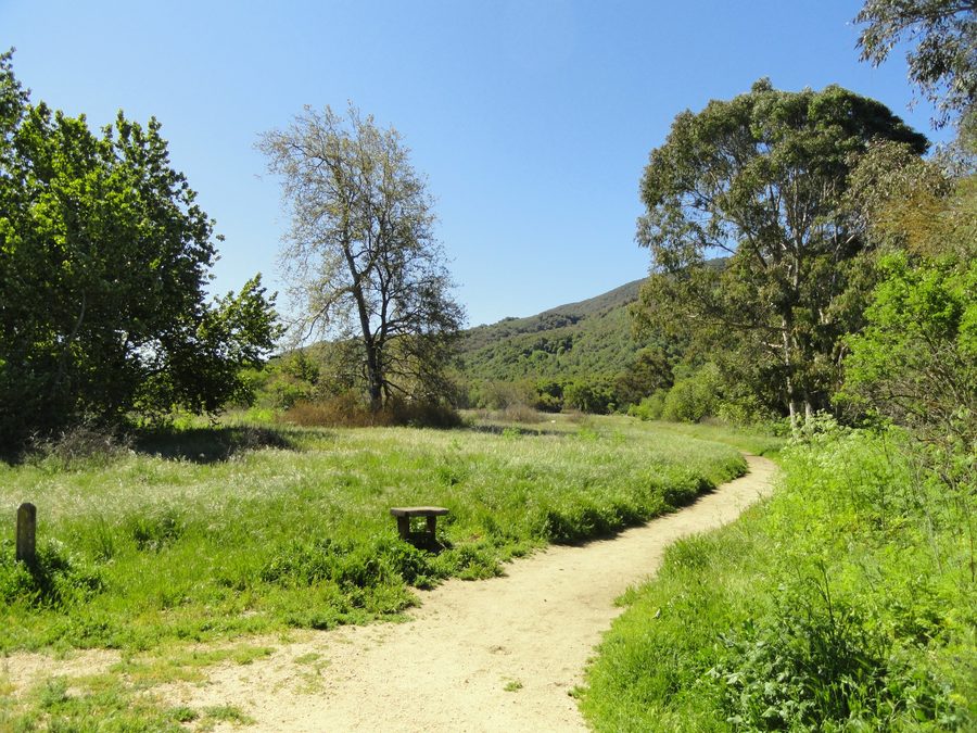 Hiking trail through oak woodland at Garland Ranch Regional Park in Carmel Valley