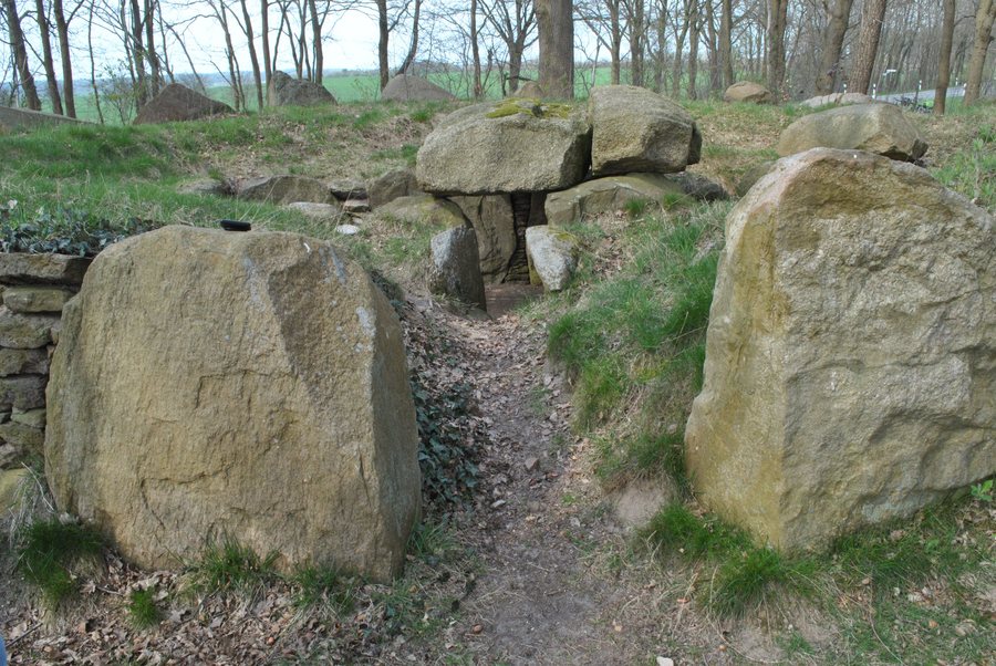 File:NLD Großsteingrab Steinfeld (Bülstedt) 1.jpg