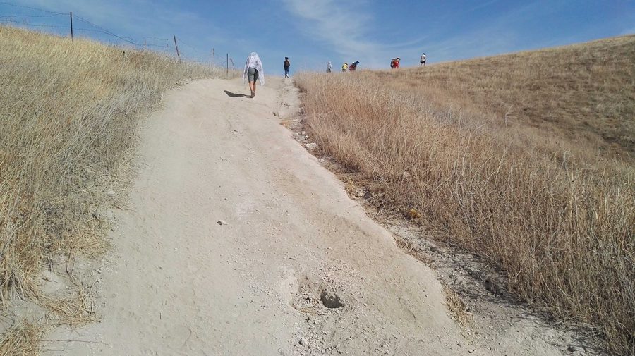 Tel Rehov archaeological site in Israel