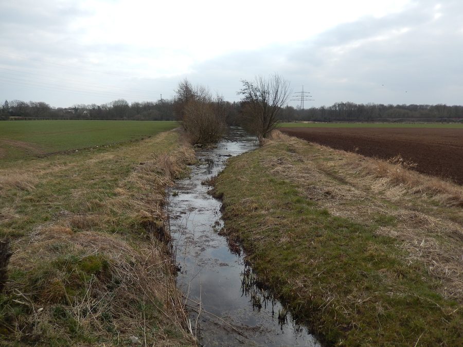 Seegraben in the Drakenburger Marsch nature reserve