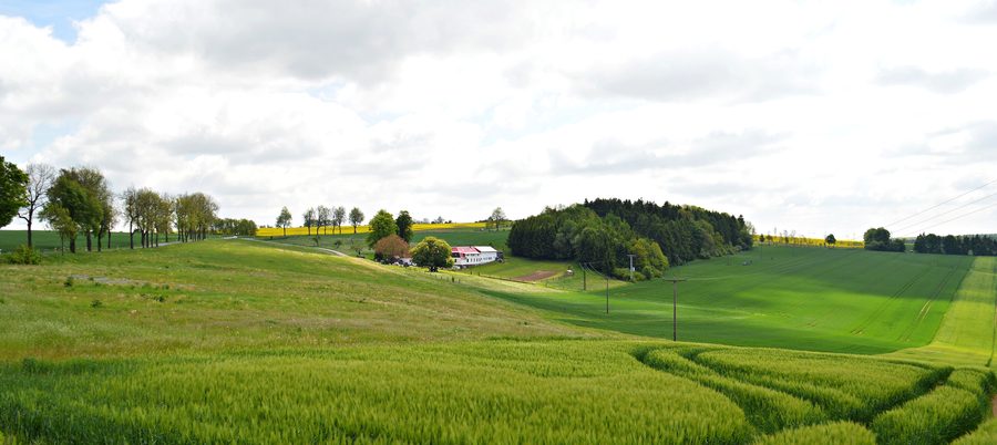Landscape with a four-sided farmstead in Eichsfeld in Thuringia
