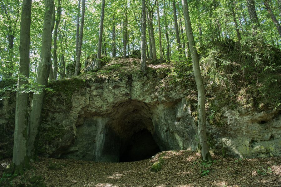 Cave entrance of Bettelküche near Neukirchen bei Sulzbach-Rosenberg