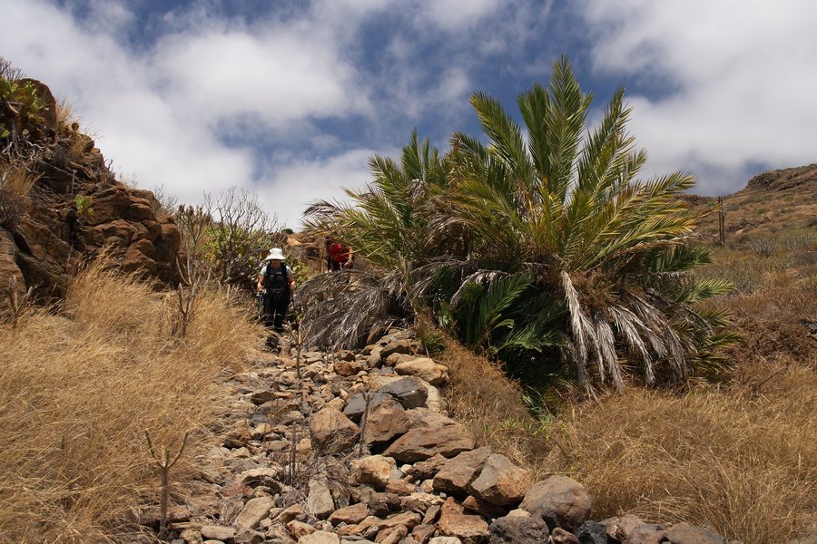 File:Camino Real entre La Hoya y Los Menores - panoramio (1).jpg
