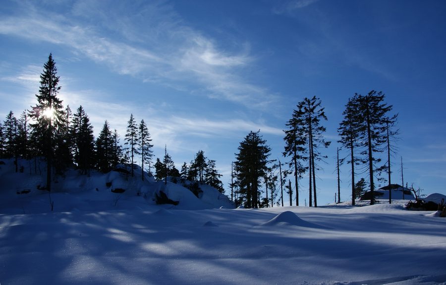 Summit area of Dreisessel Mountain in the Bavarian Forest