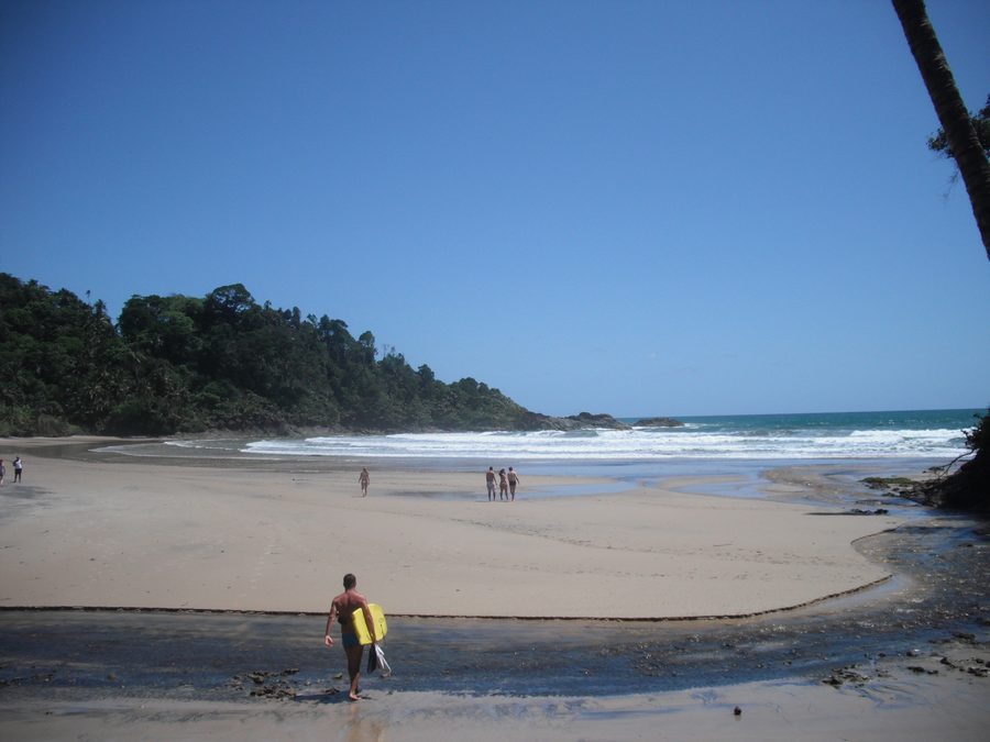 Praia da Engenhoca in Itacaré with beach and wooded slopes