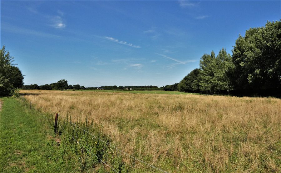 Naturschutzgebiet Bietenschlatt in Südlohn mit naturnaher Landschaft