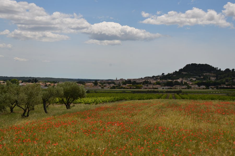 File:Landscape of Gard France near Calvisson - panoramio.jpg