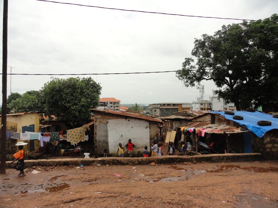 View over Conakry