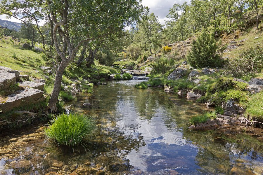 File:Arroyo del Aguilón, río Lozoya - 01.jpg