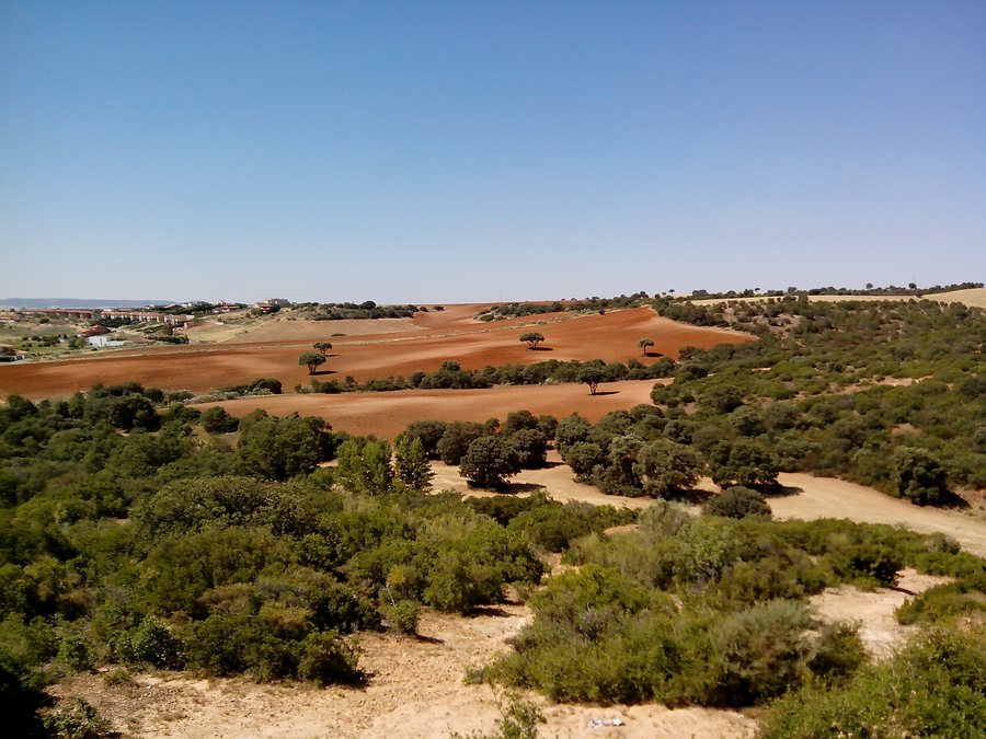 File:Cabanillas del Campo, 19171, Guadalajara, Spain - panoramio (1).jpg