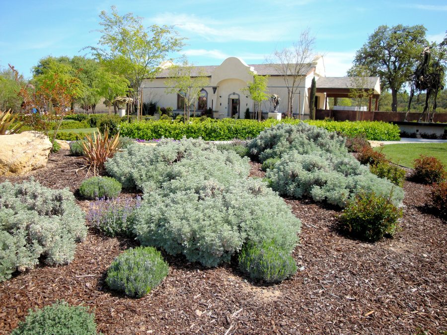 Vineyard and sculpture garden at Sculpterra Winery in Paso Robles, California