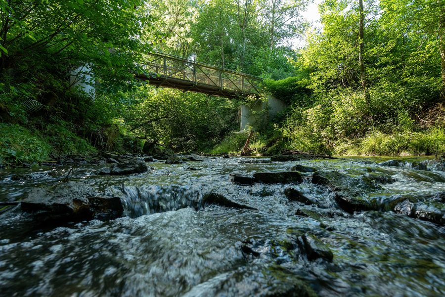 The Sulzbach near Denkendorf with bridge and riverbank vegetation
