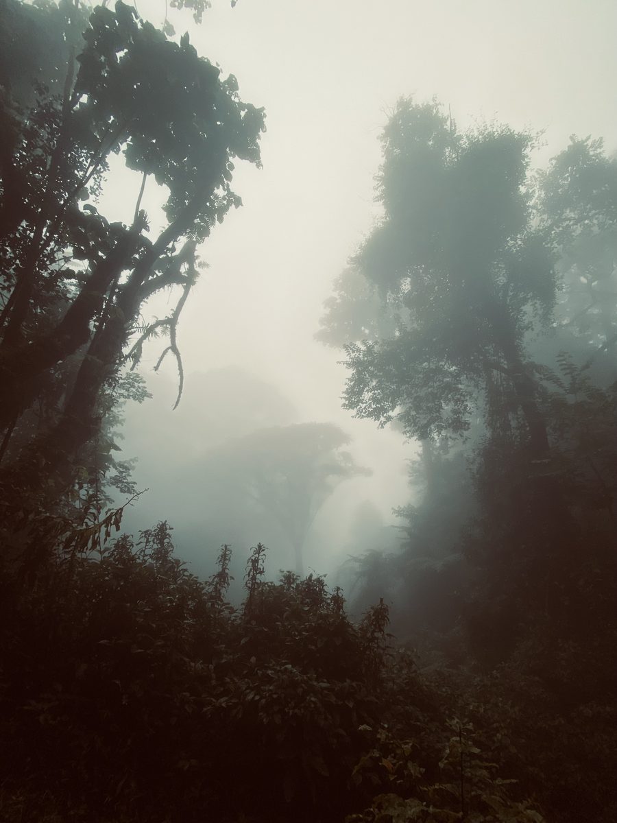 Misty mountain landscape