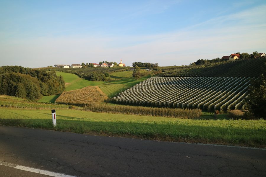 Langegg bei Graz mit sanfter Hügellandschaft