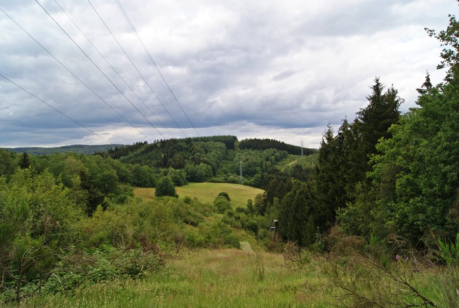 Hilly landscape near Freudenberg in North Rhine-Westphalia